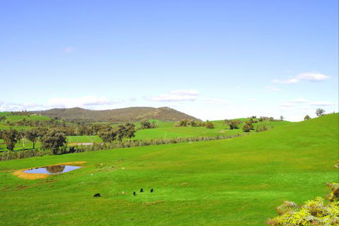 Winton Bethal Accommodation Unit - Dalby Accommodation 3