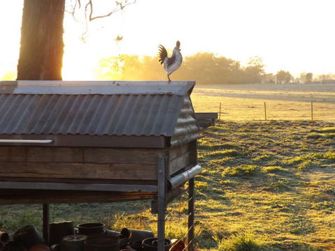 Broken Creek Bush Camp - Dalby Accommodation 3