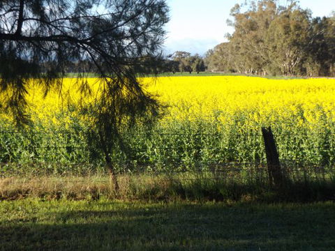 Broken Creek Bush Camp - Dalby Accommodation 8
