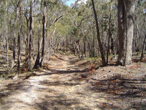 Bushmans Lookout - Dalby Accommodation 3