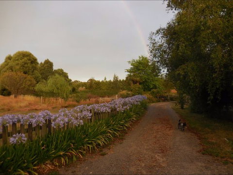 Bunjil Farm - Dalby Accommodation 5