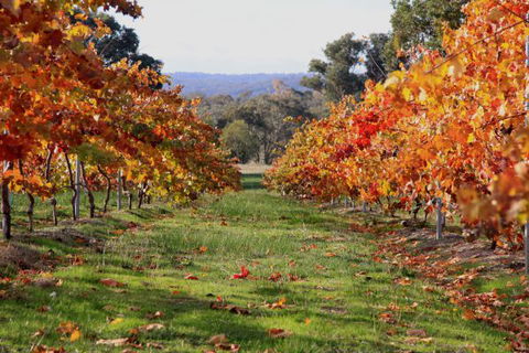 Candlebark Retreat - Dalby Accommodation 2