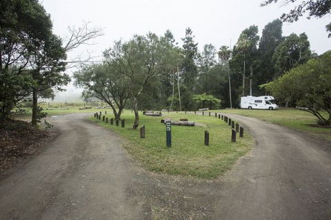 Eungella National Park Camping Ground - Dalby Accommodation 0
