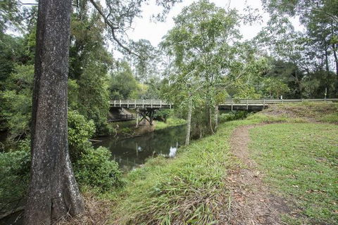 Eungella National Park Camping Ground - Dalby Accommodation 1