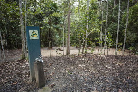 Eungella National Park Camping Ground - Dalby Accommodation 2