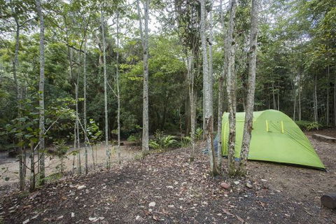 Eungella National Park Camping Ground - Dalby Accommodation 3