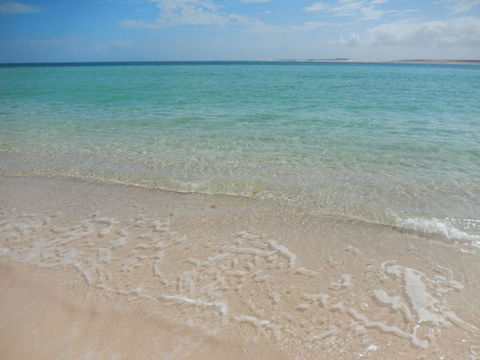 Gnaraloo Station - Dalby Accommodation 0