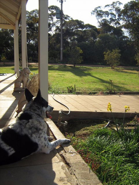 Great Grandpa Henry Retreat - Dalby Accommodation 4