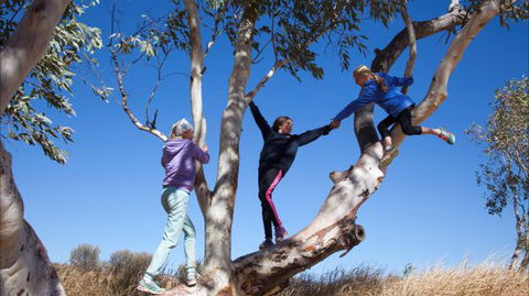 Hamilton Downs Youth Camp - Dalby Accommodation 4