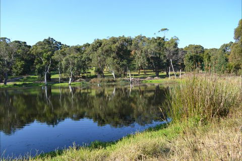 Iluka Retreat And Camp - Dalby Accommodation 2