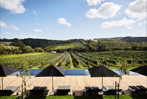 Jackalope Mornington Peninsula - Dalby Accommodation 4