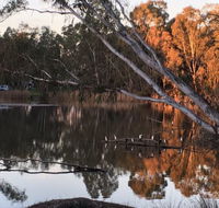Jaycee Island - Dalby Accommodation