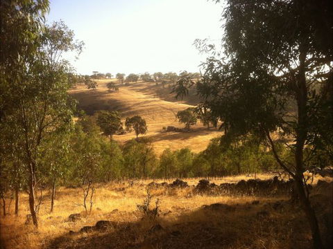 Jonathan Art Centre - Jarramarrumba House - Dalby Accommodation 6