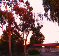 Murray Bridge Central Olympic Motel and Cottages - Dalby Accommodation