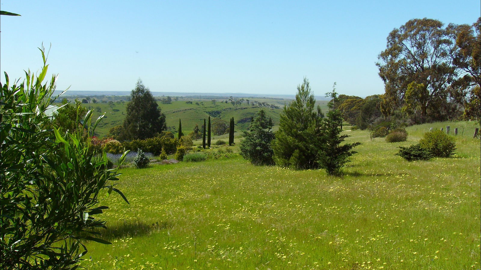Dawesley SA Dalby Accommodation