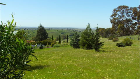 Jonathan Art Centre - Jarramarrumba House - Dalby Accommodation 0