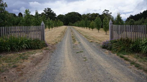 Oakhill Cottage - Dalby Accommodation 7