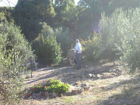 Olive Grove Retreat - Dalby Accommodation 5