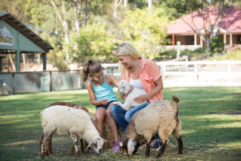 Paradise Country Farmstay - Dalby Accommodation 6
