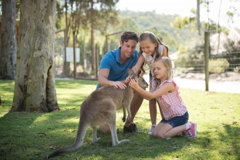 Paradise Country Farmstay - Dalby Accommodation 7