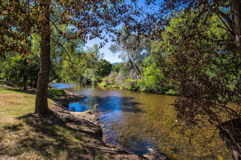 Porepunkah Bridge Holiday Park - Dalby Accommodation 5