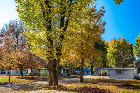 Porepunkah Bridge Holiday Park - Dalby Accommodation 8