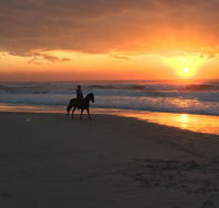 Tassiriki Holiday Cabins - Dalby Accommodation
