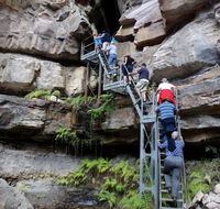 Takarakka Bush Resort Carnarvon Gorge - Dalby Accommodation