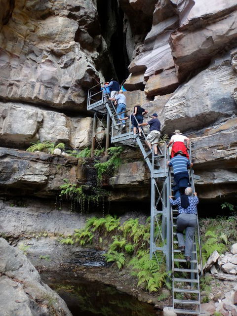 Takarakka Bush Resort Carnarvon Gorge - Dalby Accommodation 0