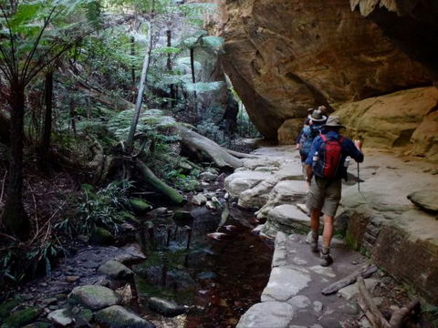 Takarakka Bush Resort Carnarvon Gorge - Dalby Accommodation 6