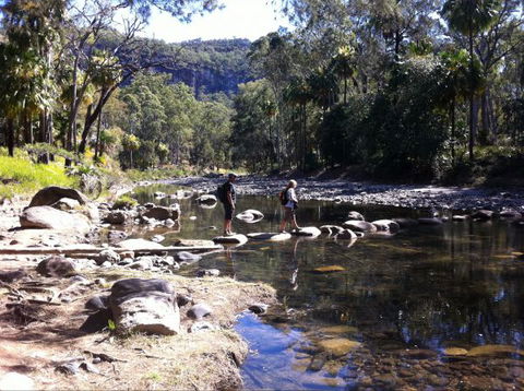 Takarakka Bush Resort Carnarvon Gorge - Dalby Accommodation 9