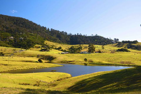 Tilba Coastal Retreat - Dalby Accommodation 7