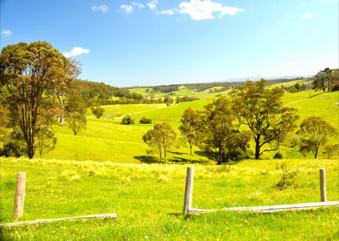 Tilba Coastal Retreat - Dalby Accommodation 9