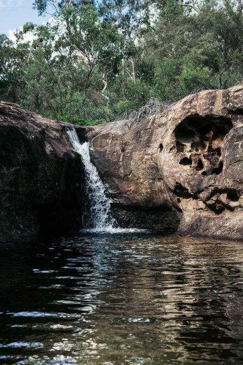 Werriberri - Dalby Accommodation 9