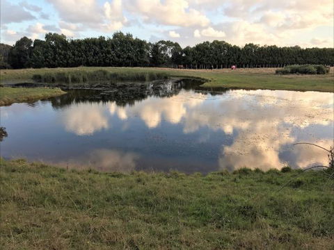 Woodbyne Resort - Dalby Accommodation 2
