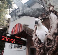 Zing Backpackers Hostel - Dalby Accommodation