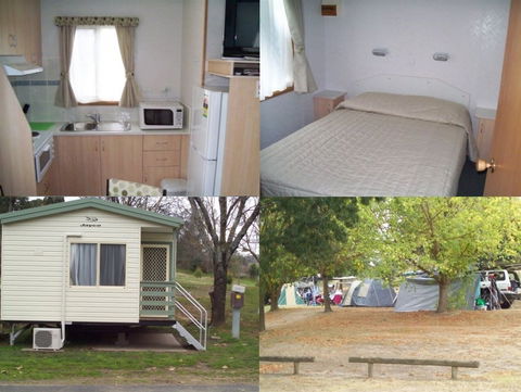 Adelong Golden Gully Caravan Park - Dalby Accommodation 4