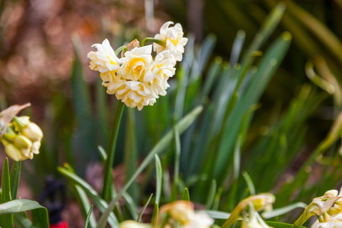 Amaroo Farm - Dalby Accommodation 7