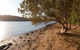 Beach Campground - thumb 0