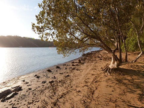 Beach Campground - Dalby Accommodation 0