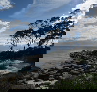 Binalong Bay Beach Shack - Dalby Accommodation