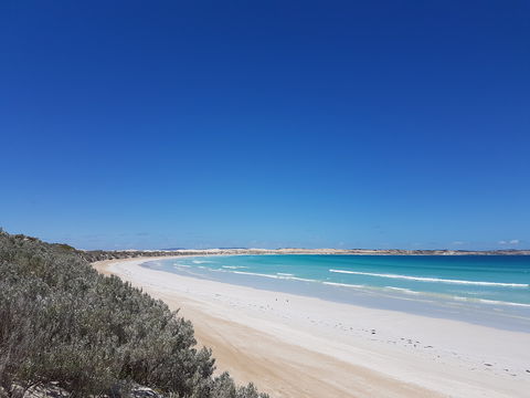 Coffin Bay National Park Campgrounds - Dalby Accommodation 0