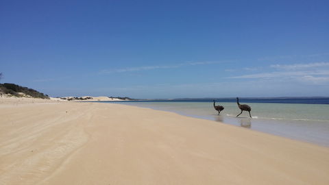 Coffin Bay National Park Campgrounds - Dalby Accommodation 3