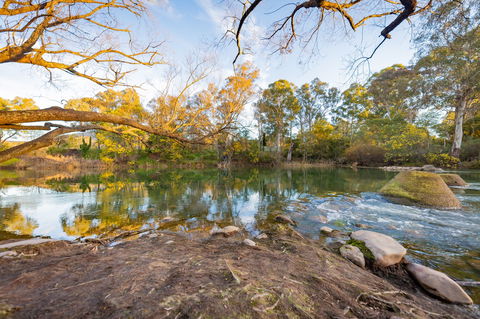 Eildon Riverside Holiday Park - Dalby Accommodation 8