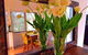 Fox And Hound Apartments - thumb 6
