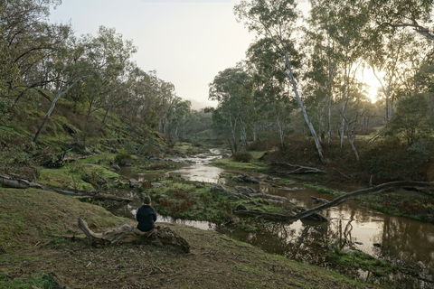 Highfield Farm And Woodland Bush Campsites - Dalby Accommodation 2