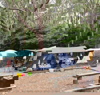 Pebbly Beach campground - Yuraygir National Park - Dalby Accommodation