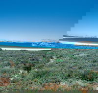 Lucky Bay Campground at Cape Le Grand National Park - Dalby Accommodation
