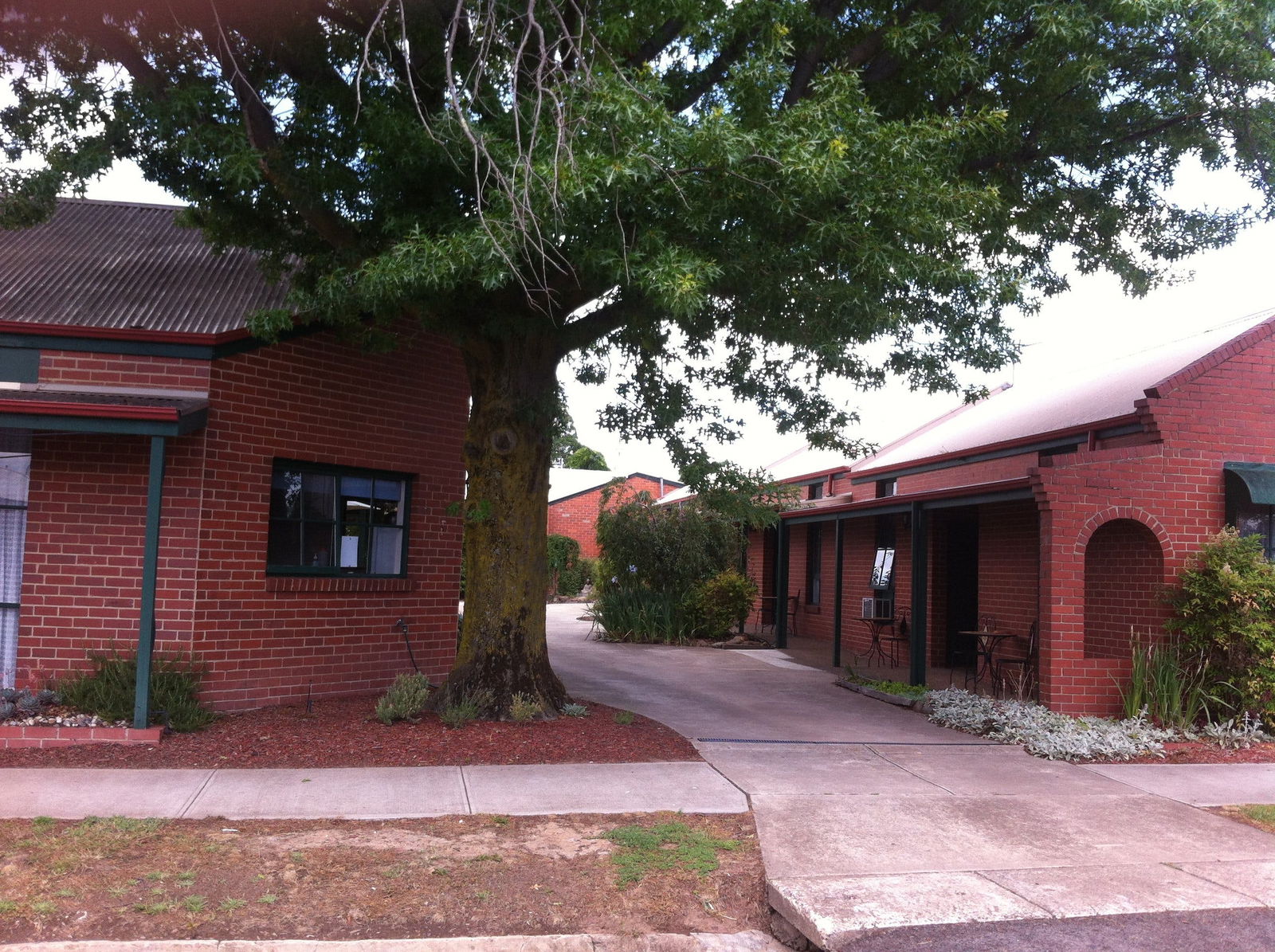 Mansfield VIC Dalby Accommodation