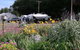 Millicent Showground RV Park - thumb 0